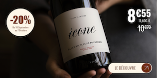 MEGA MENU FR ICONE ST NICOLAS DE BOURGUEIL.png
